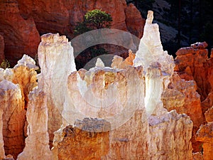 US National Parks, Bryce Canyon National Park photo