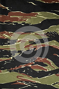 US vietnam green tigerstripe camouflage fabric texture background