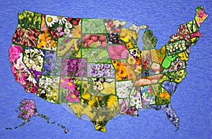 USA American map from flowers