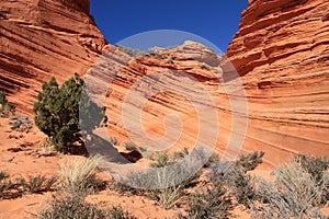 USA, Arizona: Coyote Buttes South - Sculpted Sandstone Layers