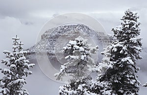 USA Arizona Grand Canyon North Rim in snow