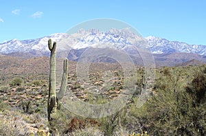 Arizona, Maricopa: Desert Landscape With Snow on Four Peaks