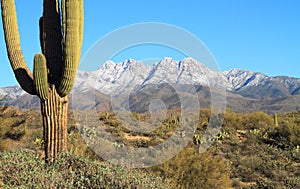 Arizona, Winter in the Sonoran Desert: Snow on Four Peaks photo