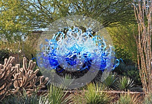 USA, Phoenix/Arizona: Chihuly Sculpture - Blue Fiori Sun, 2013