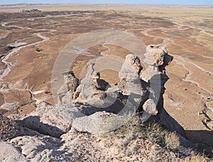 USA,AZ: Petrified Forest NP - Conglomerate Hoodoos photo