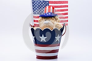 USA bear with top hat and flag background