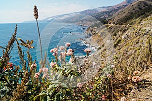 USA - Big Sur Coastal Line