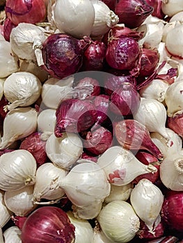 Small red & white pickling onions piled up in a local grocers photo