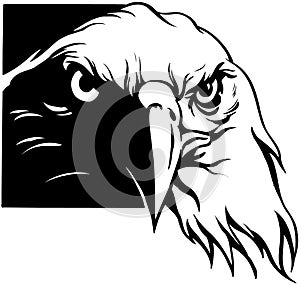 USA Eagle Cartoon Vector Clipart