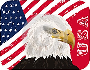 Usa flag, eagle, eps10