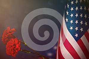 USA flag for honour of veterans or memorial day with two red carnation flowers. Glory to USA heroes of war concept on blue dark