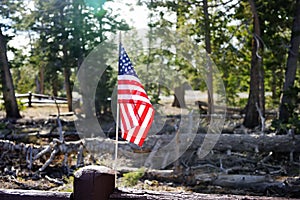 USA flag with nature view on background