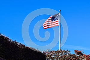 USA Flag Waving on a High Quality Clear Blue Sky and Nature