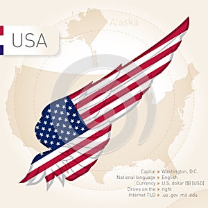 USA infographics with flag, map and information. Vector illustration