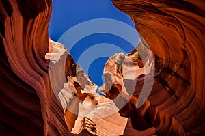 USA landscape, Grand canyon. Arizona, Utah, United states of america