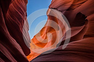 USA landscape, Grand canyon. Arizona, Utah, United states of america