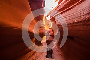 USA landscape, Grand canyon. Arizona, Utah, United states of america