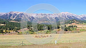 USA, Montana: Landscape - Bridger Mountain Range