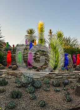 USA, PHENIX, ARIZONA- NOVEMBER 17, 2019: multi-colored plastic animal figures among cacti of different species in the botanical