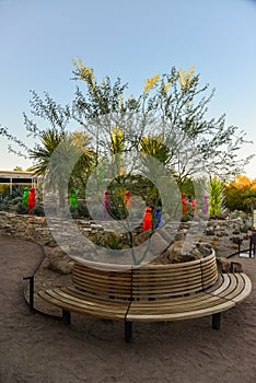 USA, PHOENIX, ARIZONA- NOVEMBER 17, 2019:  multi-colored plastic animal figures among cacti of different species in the botanical