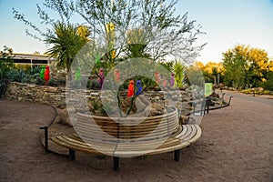 USA, PHOENIX, ARIZONA- NOVEMBER 17, 2019:  multi-colored plastic animal figures among cacti of different species in the botanical