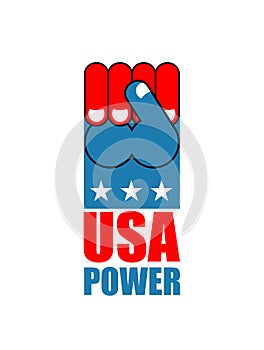USA power. Patriot fist emblem. Sign of strong America. Logo for