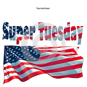 Usa presidential electrion: March 3, 2020 super tuesday photo