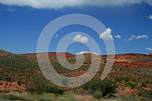 USA.  Red mountains Utah. Desert plant