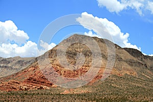 USA.  Red mountains Utah.  Grass on the rocks.