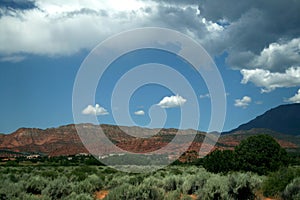 USA.  Red mountains Utah Green plants