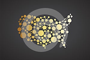 USA United States Gold Network Map. Vector Graphic Design