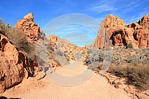 USA, Utah/Arizona: Arroyo in the Paria Canyon Wilderness