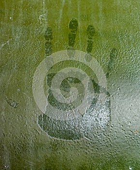 Green Hand Print in Paint