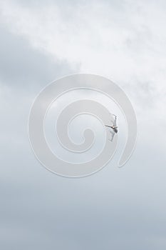 A USAF Thunderbirds F-16 making a tight turn at the Abbotsford Airshow.