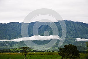 Usambara Mountains Tanga Tanzania