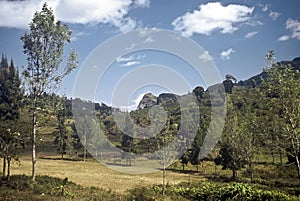 Usambara Mountains, Tanzania