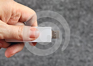 USB Drive in the Hand