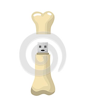 USB flash drive icon. Cartoon symbol of bone. Colored memory stick isolated on white background in flat style