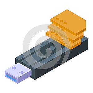 Usb flash memory icon isometric vector. Camera card