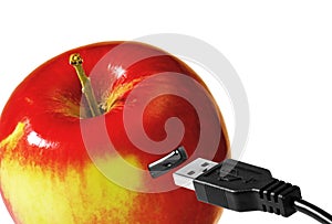 USB port and apple