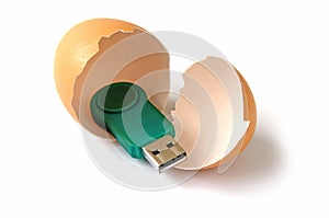 Usb stick or flash drive in egg