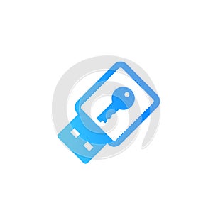 Usb stick security key icon on white