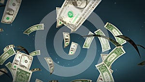 USD bill flying, stock footage