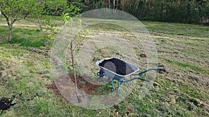 use of biochar in the vegetable garden. biochar for plants. biochar in a wheelbarrow. use biochar in fruit trees and plants in the