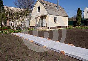 Use of covering material to protect the soil in the garden area