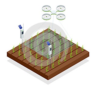 Use of a drone to control crop growth, hydration of mail and pests. Agriculture automation smart farming concept photo