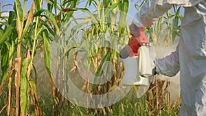 use of a pesticide fumigator in the hands of a farmer close-up of a corn field