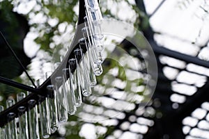 Use unused science test tubes to decorate your garden. The concept of using materials to their advantage