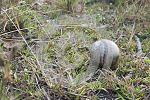 Used baseball on the fresh green grass with copy space