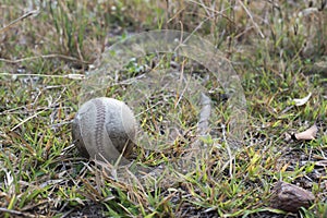 Used baseball on the fresh green grass with copy space